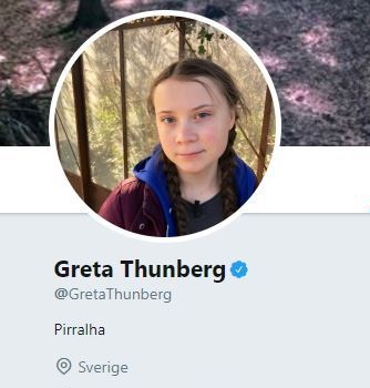 Greta Thunburg twitter