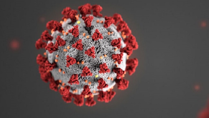 Coronavirus Updates: Italy Highest Death Tolls in One Day