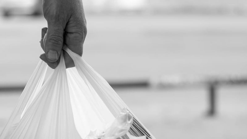 New York Bans Plastic Bags to Address Environmental Blights