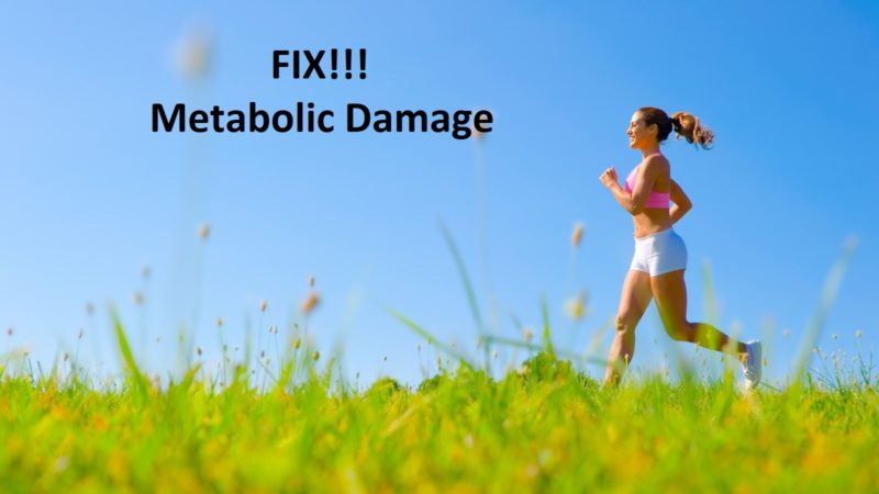 How to Fix Metabolic Damage in the Body?