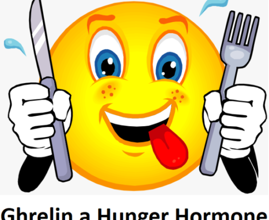 How does Hunger Hormone Ghrelin Work?
