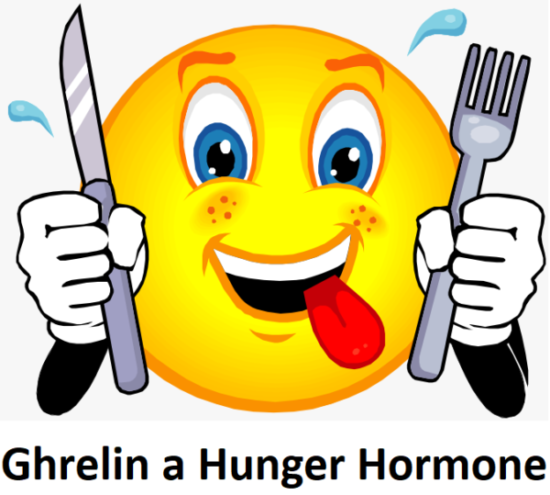 How does Hunger Hormone Ghrelin Work?