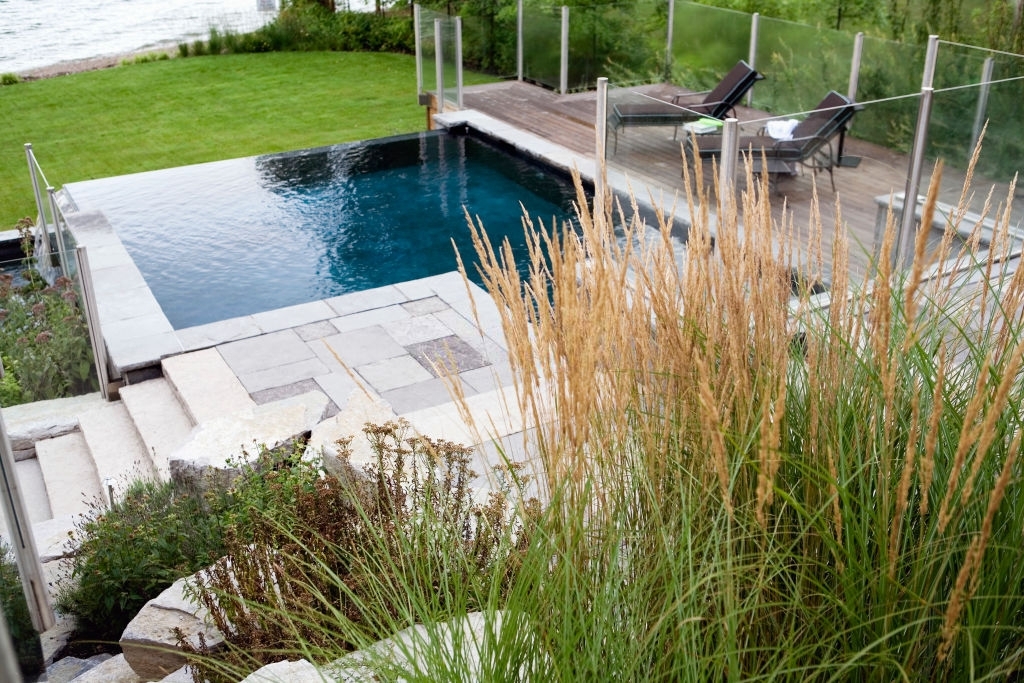 Best Plants For Landscaping Around Pool 